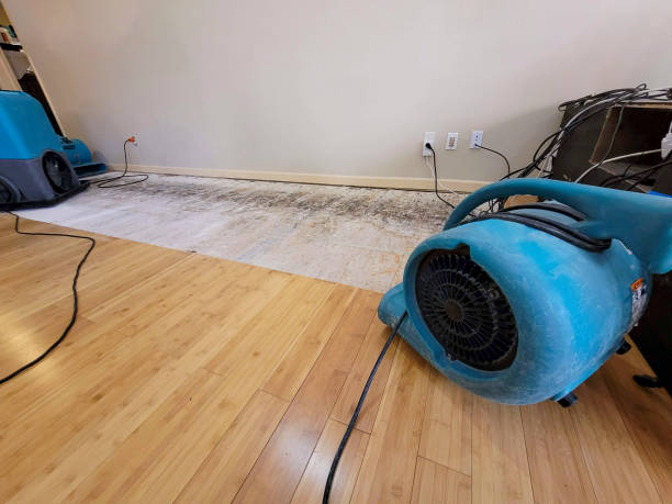 Reliable Basement Flood Cleanup contractor in Noble, OK by Hirex Water Damage