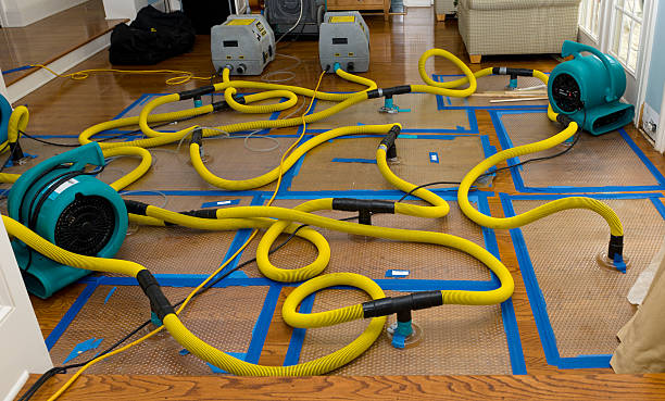 Professional Basement Flood Cleanup technician working in Noble, OK